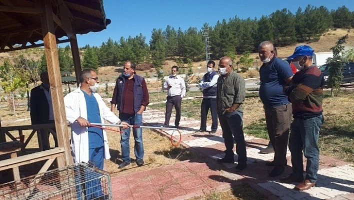 Sokak hayvanlarına müdahale eğitimi