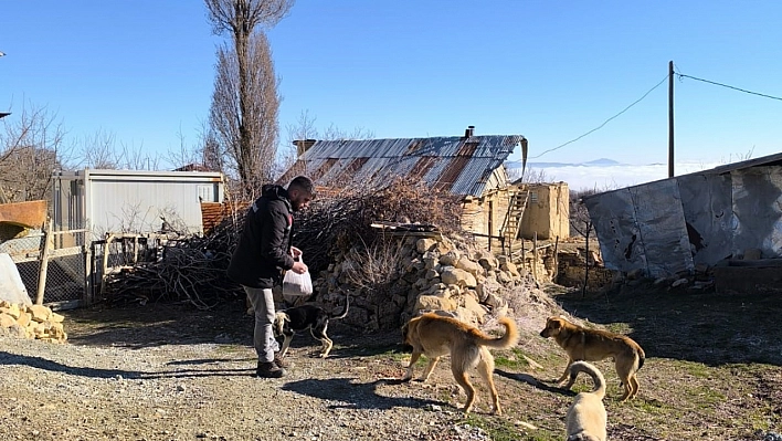 Sokak hayvanlarını unutmadı