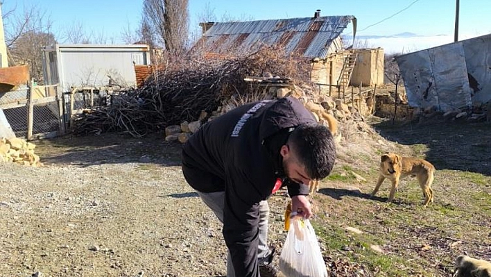 Sokak hayvanlarını unutulmadı