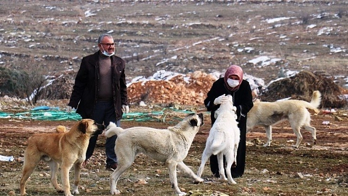 Öldürülmüş halde bulundu