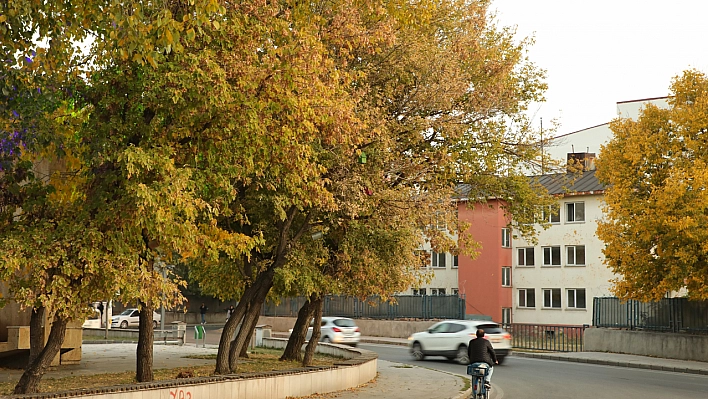 Sonbaharın güzelliği hayran bırakıyor