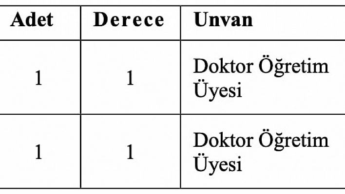 SUBÜ 6 akademik personel alacak