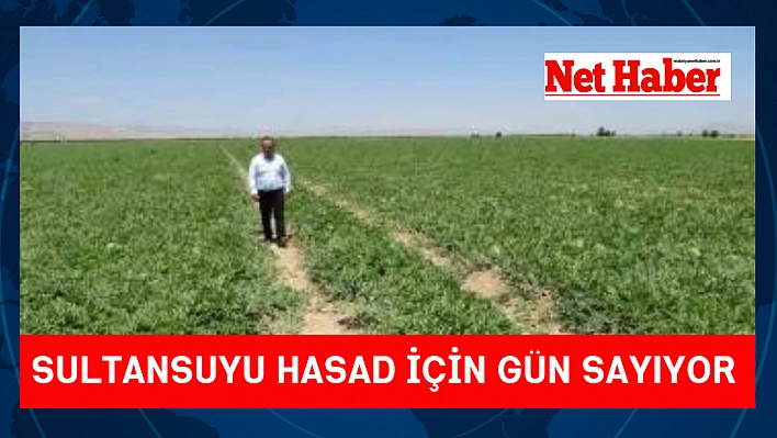 Sultansuyu hasat için gün sayıyor