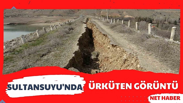 Sultansuyu'nda ürküten görüntü