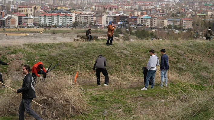 Tabyalarda bahar temizliği