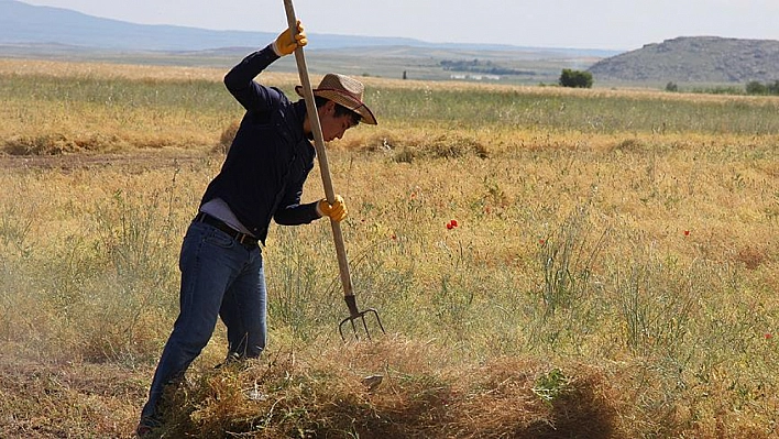 Tarım Bakanlığından Çiftçilere Müjde: Hesaplara Aktarılıyor