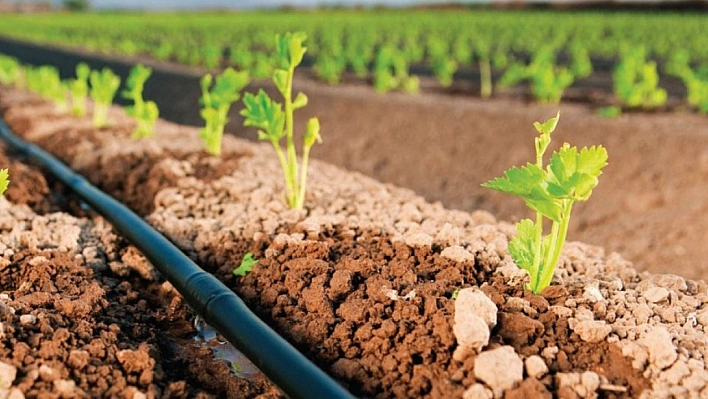 Tarımda Su Tasarrufu İçin Yeni Yöntemler Bulunmalı