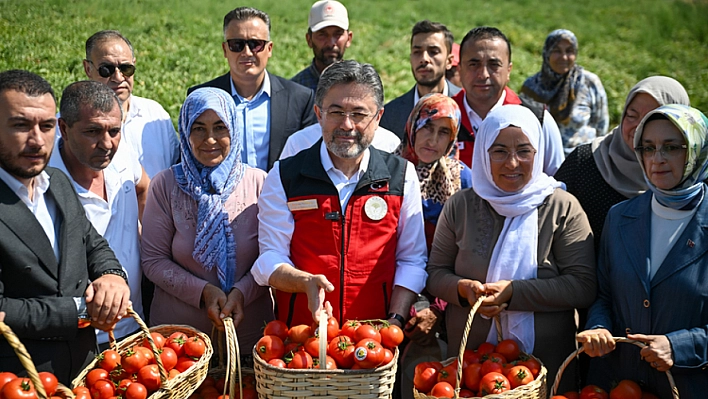 Tarımda yeni yol haritası: Pestisitsiz üretime destek