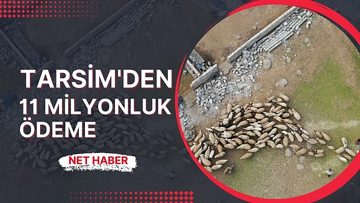 Tarsim'den 11 milyonluk ödeme