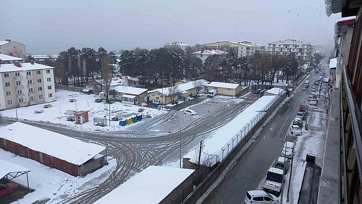 Bitlis'te kar yağışı hayatı olumsuz etkiliyor