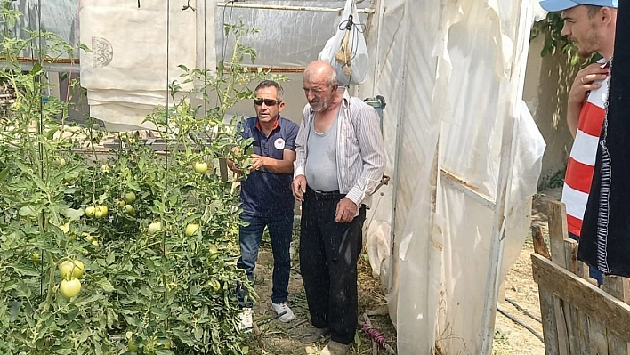 Seralarda bitki hastalık ve zararlı kontrolleri