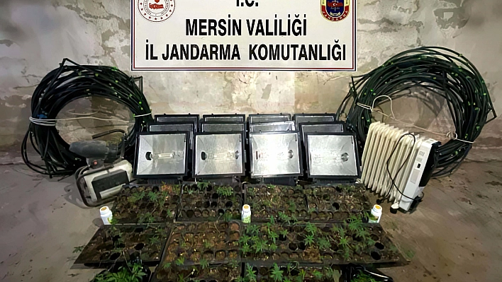 Tavuk çiftliğine uyuşturucu operasyonu