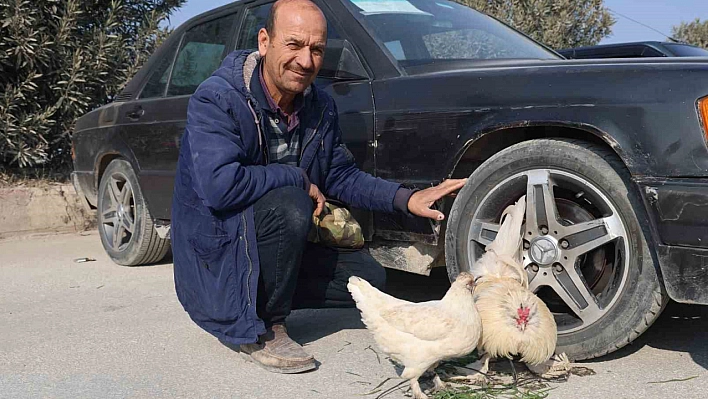 Tekere bağladığı horozuyla, arabasıyla birlikte satışa çıkardı