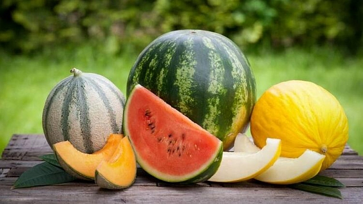 Temizlenmeyen kavun ve karpuz gıda zehirlenmesine neden olabilir