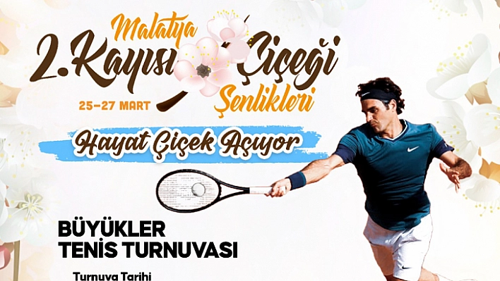 Tenis turnuvası