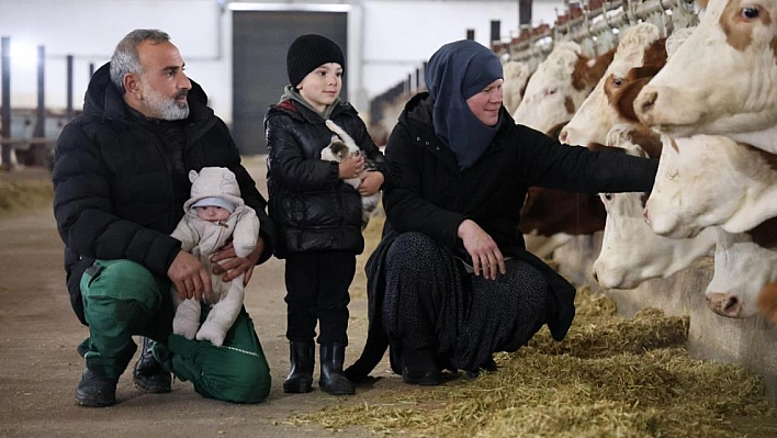 TKDK'dan aldığı destekle çiftlik kurdu, 432 ton süt üretiyor!