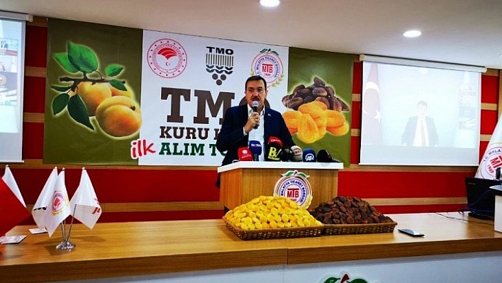 Kayısı satışı başladı