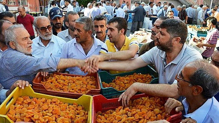 Tonlarca kayısı iç piyasada kayboldu!