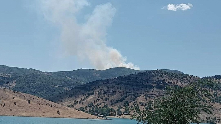 Tunceli'de orman yangını