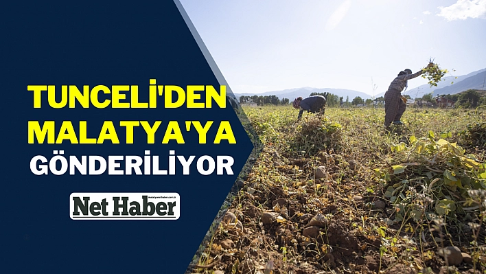 Tunceli'den Malatya'ya gönderiliyor