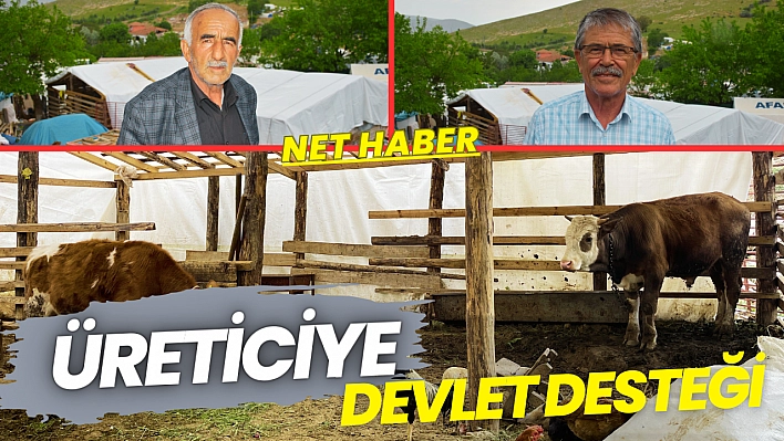 Üreticiye devlet desteği