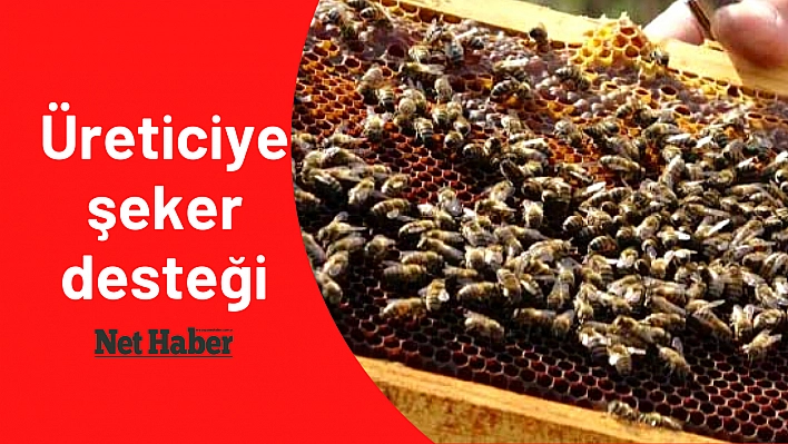 Üreticiye şeker desteği