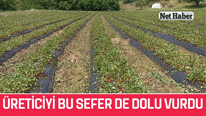 Üreticiyi bu sefer de dolu vurdu