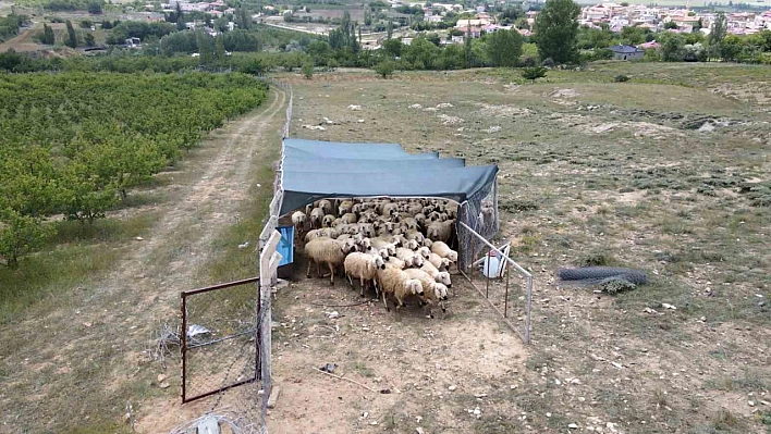 Genç yaşta kendi işini kurdu!