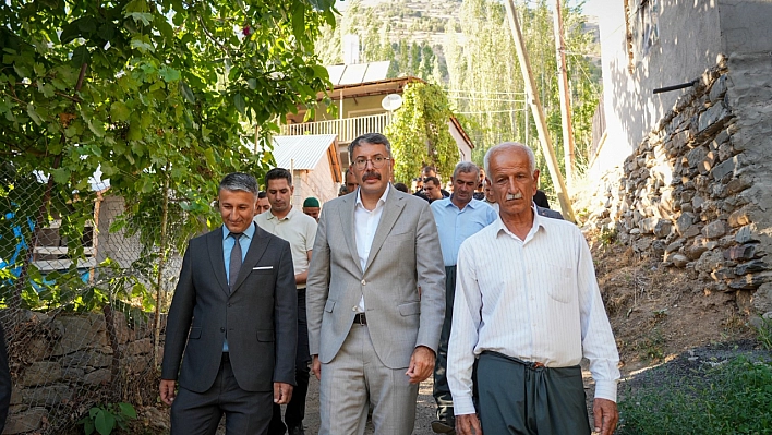 Vali Çelik sınırdaki çalışmaları yerinde inceledi