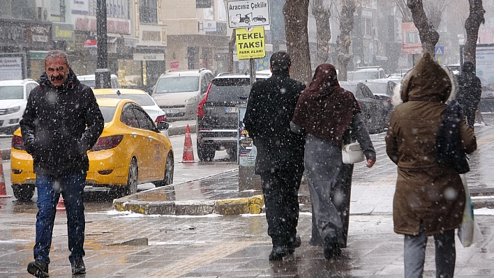 Van'da kar yağışı hayatı olumsuz etkiledi