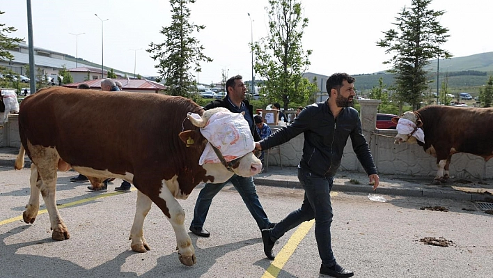 Vatandaş mobil mezbahanelere koştu