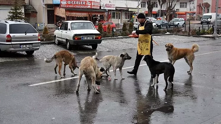 Vatandaş Sokağa Çıkmaya Korkuyor: Belediyeler Harekete Geçsin!