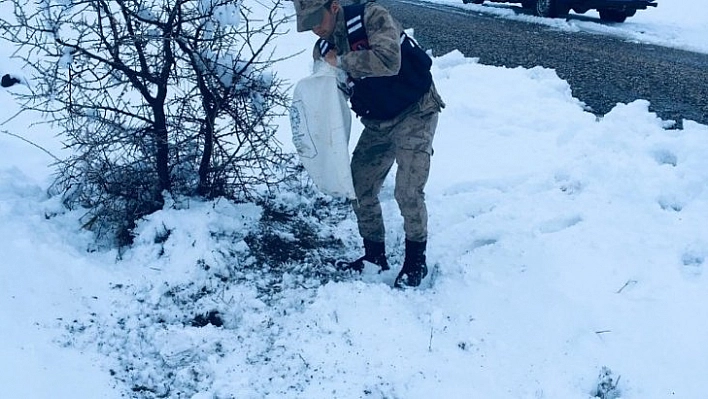 Doğaya yem bırakıldı