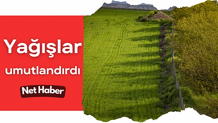 Yağışlar umutlandırdı