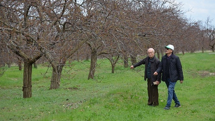 Yağmur zarar verdi