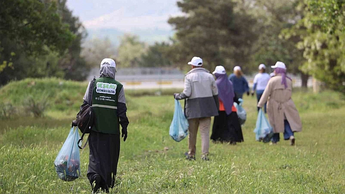 Yangına karşı ormanları temizlediler