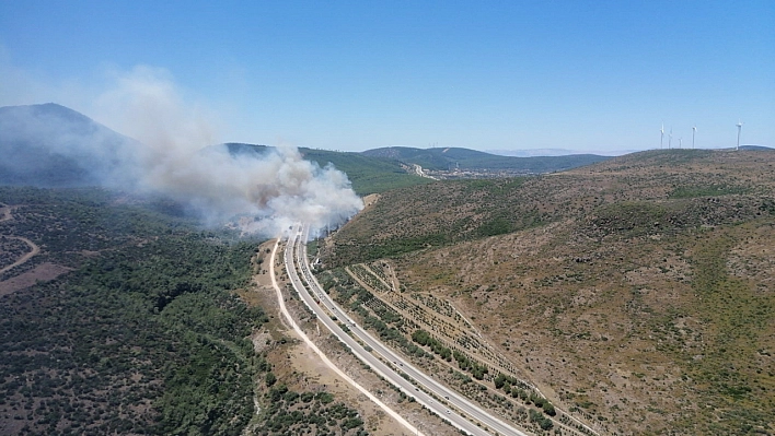 Yangınlardan iyi haber