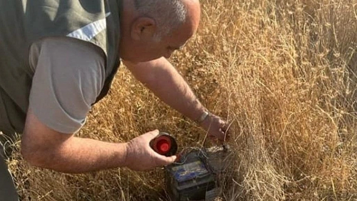 Yasa dışı avlandılar cezayı yediler