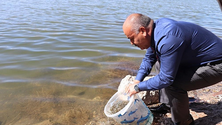 Yavru balıklar göllere bırakıldı