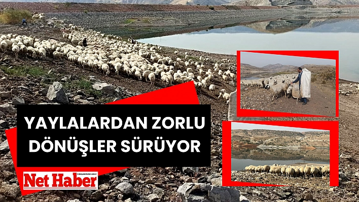 Yaylalardan zorlu dönüşler sürüyor