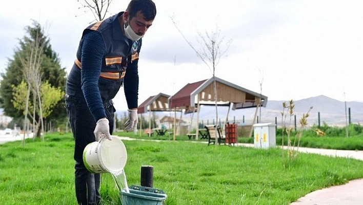 Yeşilyurt Belediyesi sokak hayvanlarını unutmadı