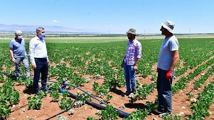 Üretimler hız kazandı