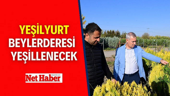 Yeşilyurt Beylerderesi yeşillenecek