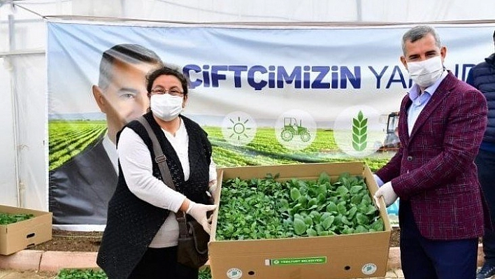 Yeşilyurt'ta 100 bin sebze fidesi dağıtımına başlandı