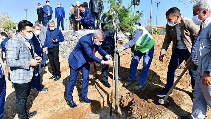 Bin 444 adet fidan desteği