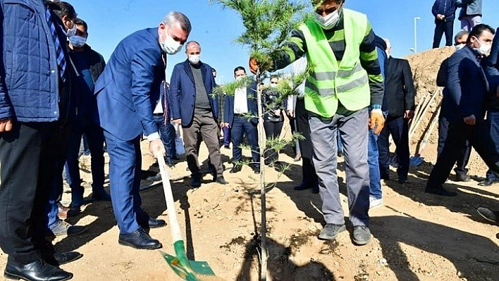 Millet bahçeleri örnek olacak