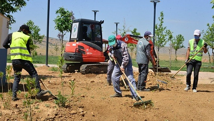 Yeşilyurt'ta çevre düzenlemesi