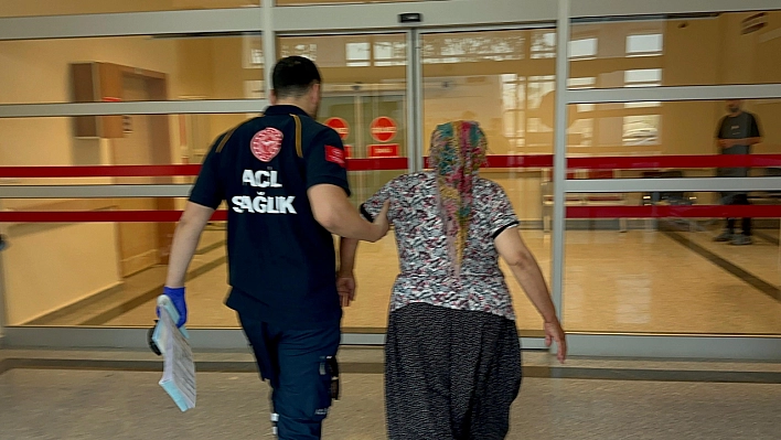 Yılanın ısırdığı kadın hastaneye kaldırıldı