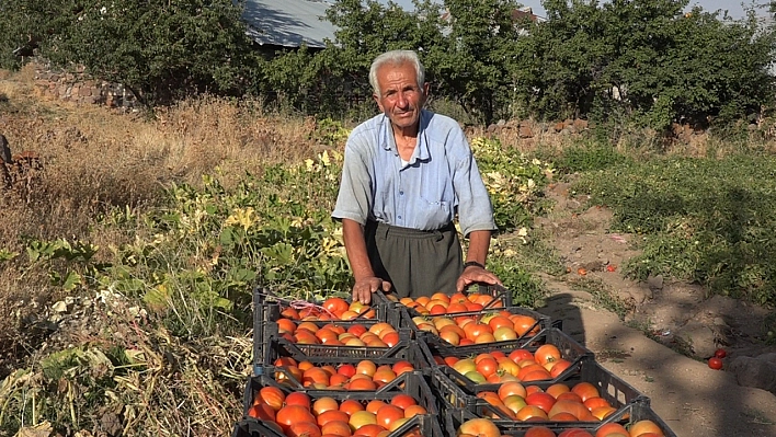 Yıllardır ata tohumuyla üretim yapıyor