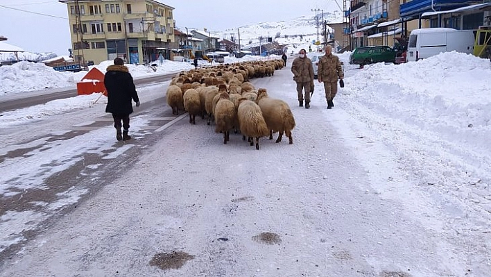 Kar erken göçe zorladı